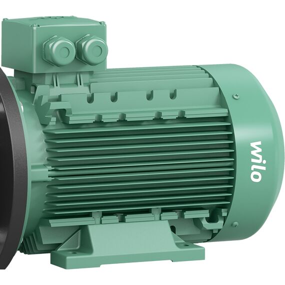 Поверхностный насос Wilo BL 40/140-4/2-R, изображение 2